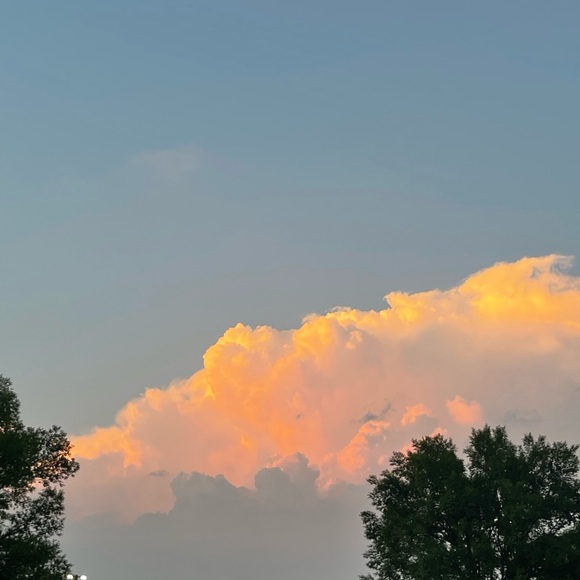 Meet your Posher, S - Picture 1 of 1